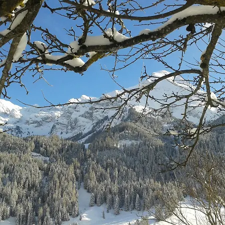 Haus Waldheim Bed & Breakfast 3*