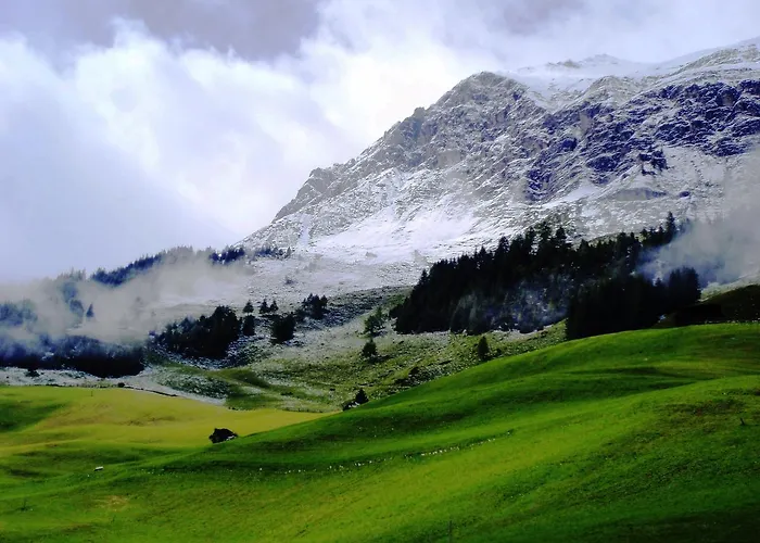 Haus Waldheim Bed & Breakfast Tux