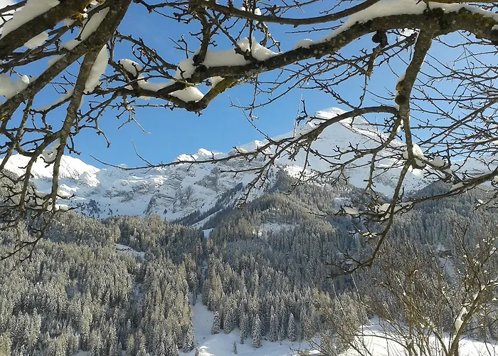 Haus Waldheim Bed & Breakfast 3*